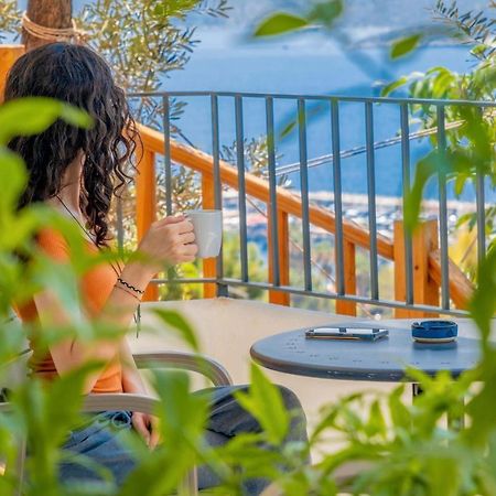 קס Sea Mist Suites מראה חיצוני תמונה