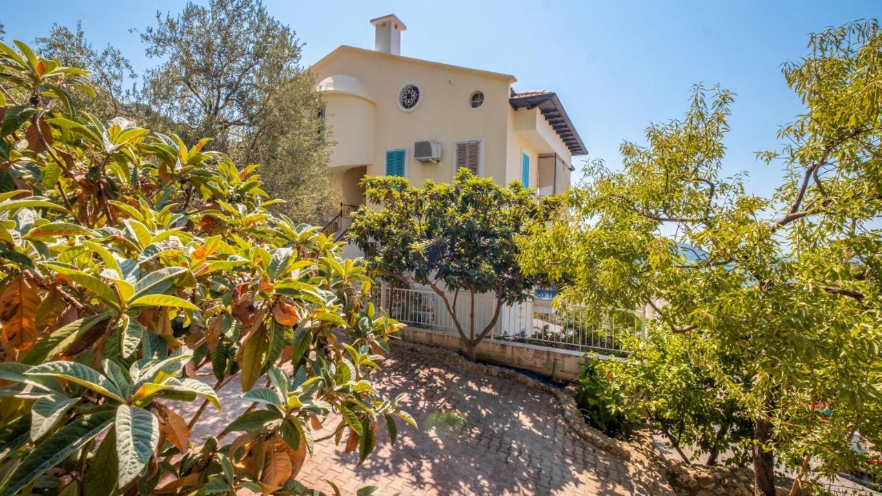 קס Sea Mist Suites מראה חיצוני תמונה