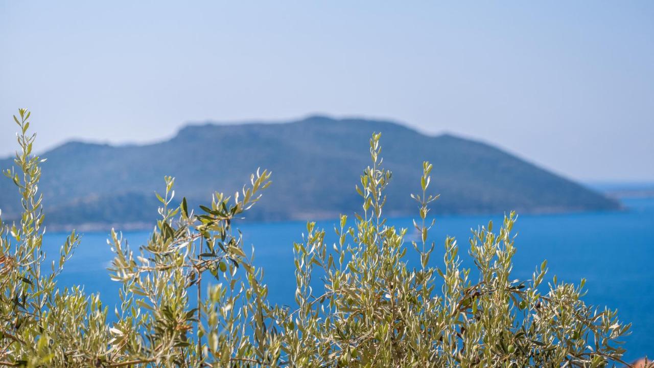 קס Sea Mist Suites מראה חיצוני תמונה