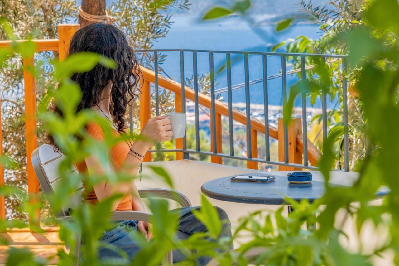 קס Sea Mist Suites מראה חיצוני תמונה